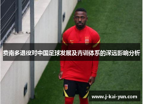 费南多退役对中国足球发展及青训体系的深远影响分析
