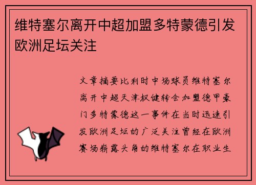 维特塞尔离开中超加盟多特蒙德引发欧洲足坛关注