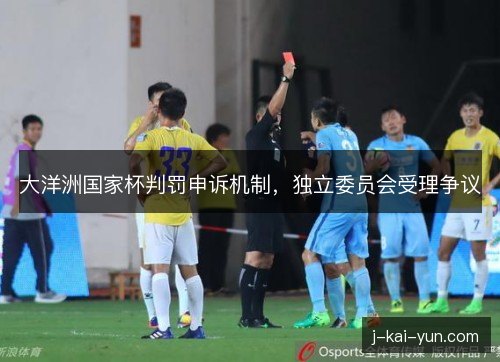 大洋洲国家杯判罚申诉机制，独立委员会受理争议